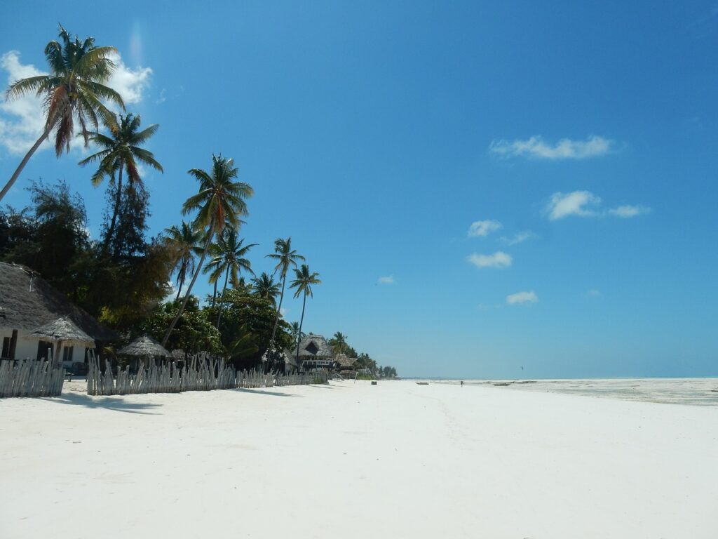 beach, palm trees, sea-2036446.jpg